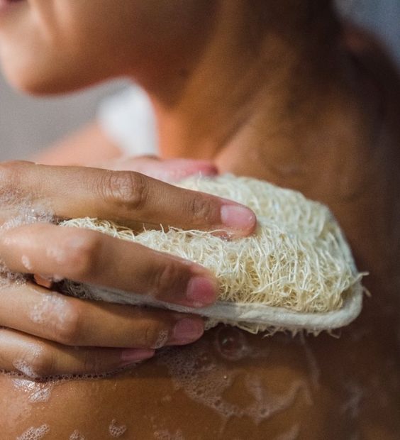 Natural Loofahs