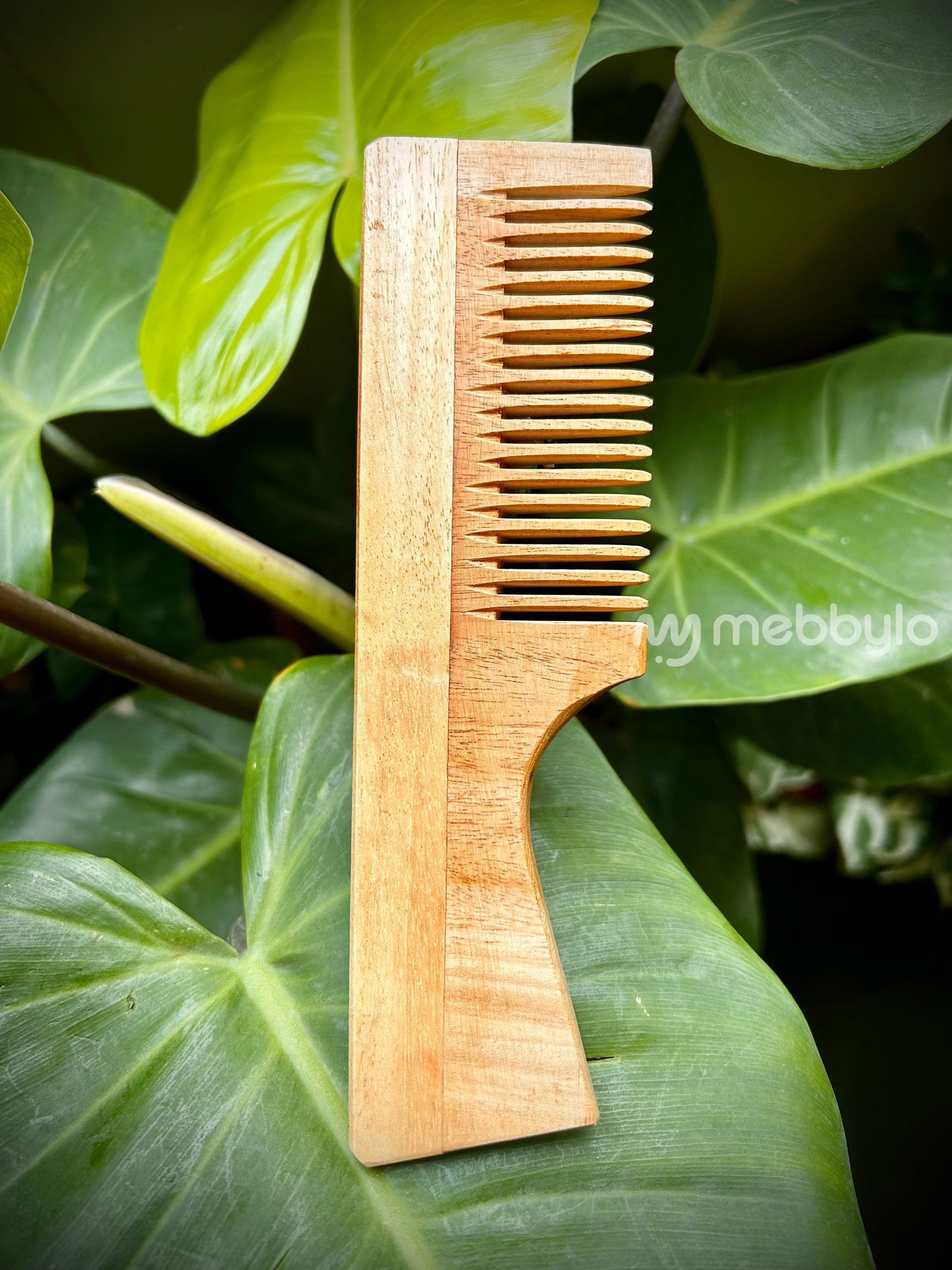 Detangling Comb with Handle | Neem wood