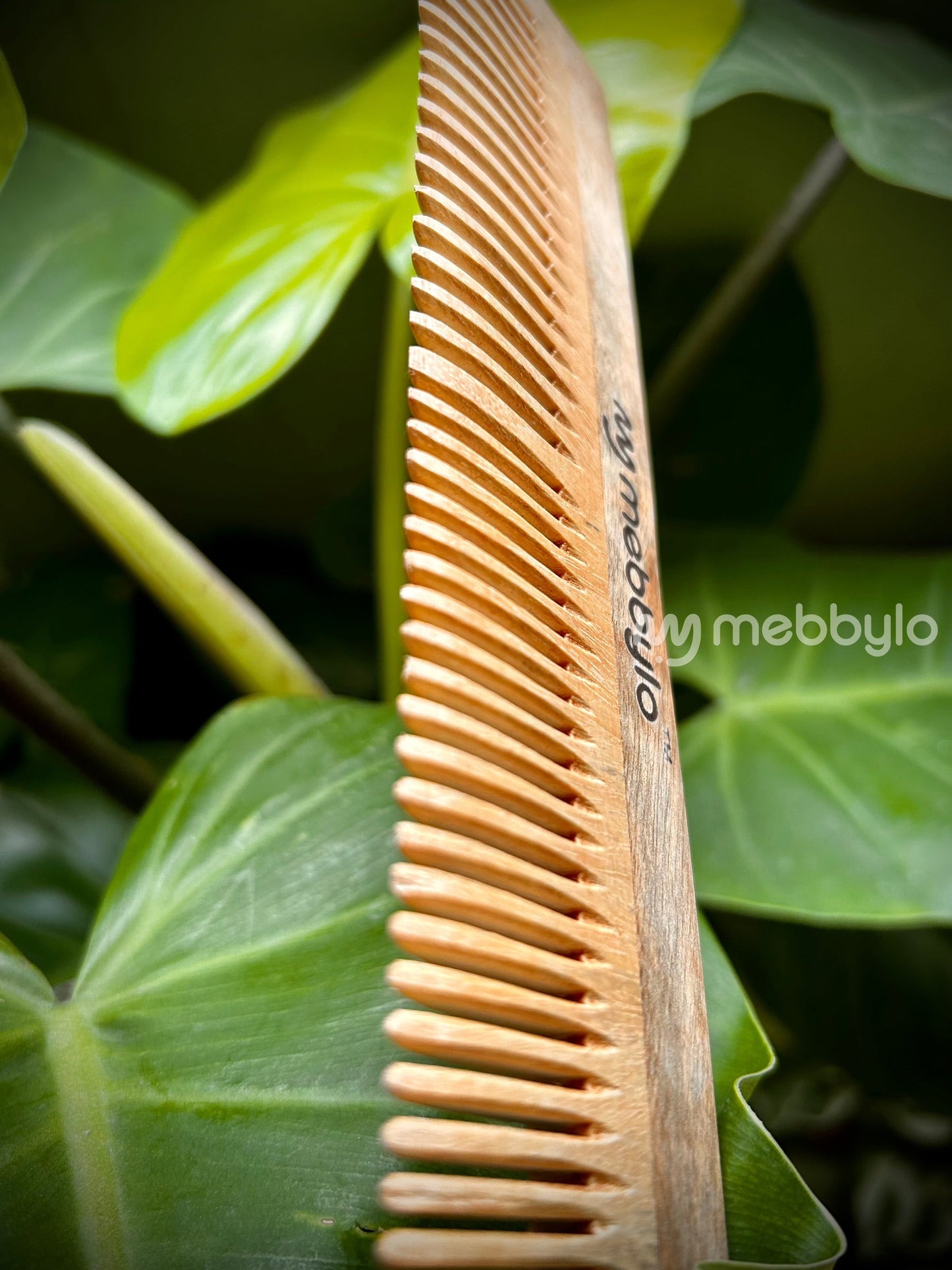 Wide and Narrow Spaced Teeth Neem wood Comb